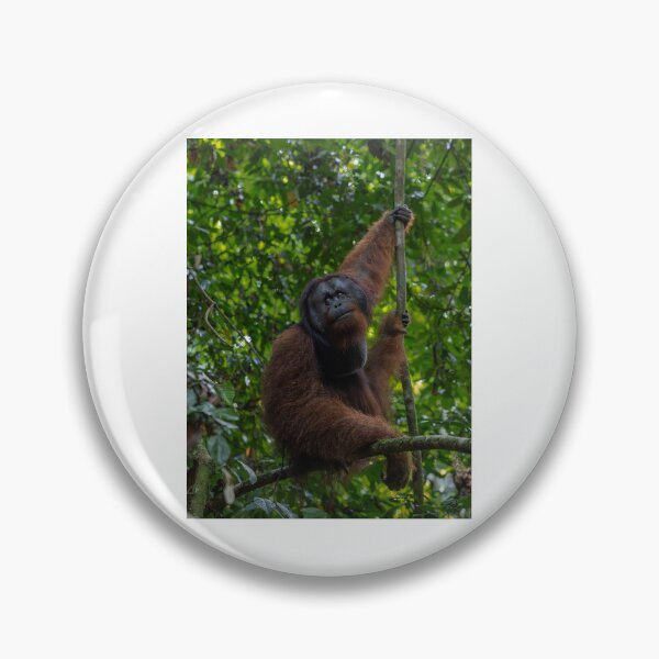Item preview, Orangutan Resting on Tree Branch in Forest designed and sold by wildframe-color.