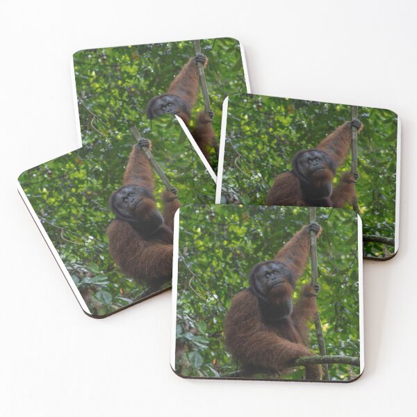 Item preview, Orangutan Resting on Tree Branch in Forest designed and sold by wildframe-color.