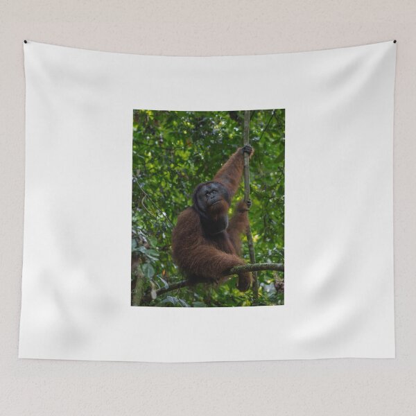Item preview, Orangutan Resting on Tree Branch in Forest designed and sold by wildframe-color.
