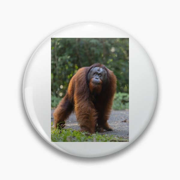 Item preview, Majestic Orangutan in Forest Habitat designed and sold by wildframe-color.
