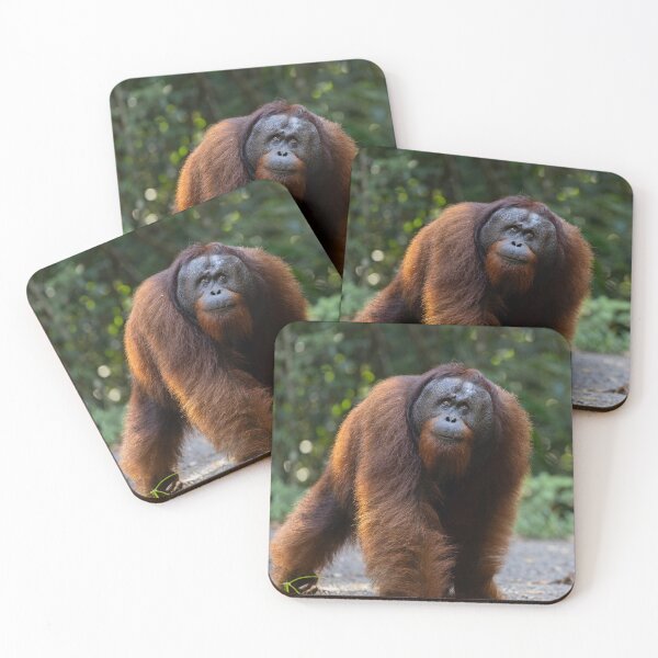 Item preview, Majestic Orangutan in Forest Habitat designed and sold by wildframe-color.