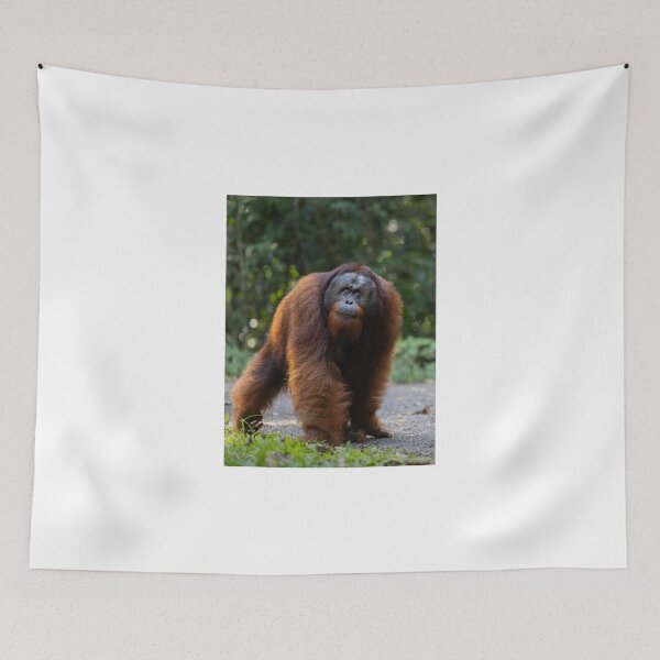 Item preview, Majestic Orangutan in Forest Habitat designed and sold by wildframe-color.