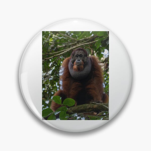 Item preview, Wild Orangutan in Jungle Canopy designed and sold by wildframe-color.
