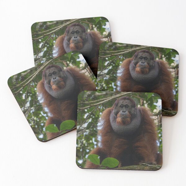 Item preview, Wild Orangutan in Jungle Canopy designed and sold by wildframe-color.