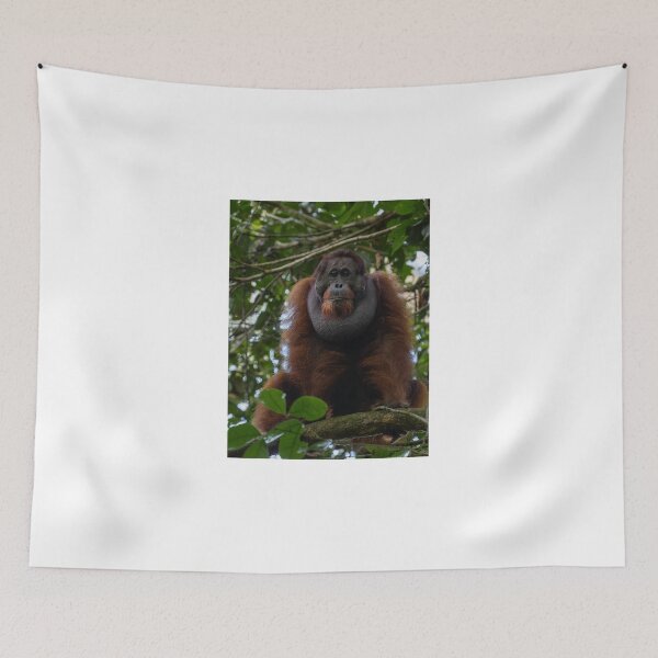 Item preview, Wild Orangutan in Jungle Canopy designed and sold by wildframe-color.