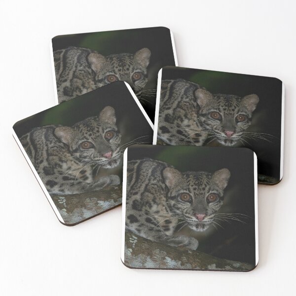 Item preview, Nighttime Clouded Leopard on Tree designed and sold by wildframe-color.