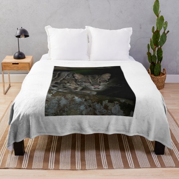 Item preview, Nighttime Clouded Leopard on Tree designed and sold by wildframe-color.