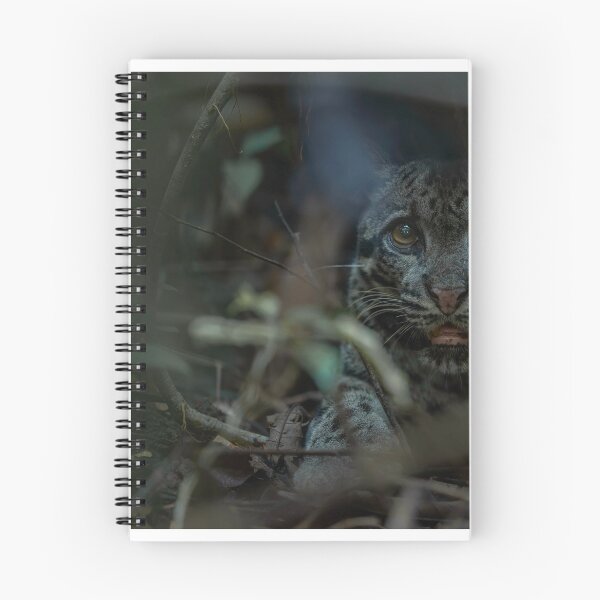 Item preview, Stealthy Clouded Leopard in Dense Forest designed and sold by wildframe-color.