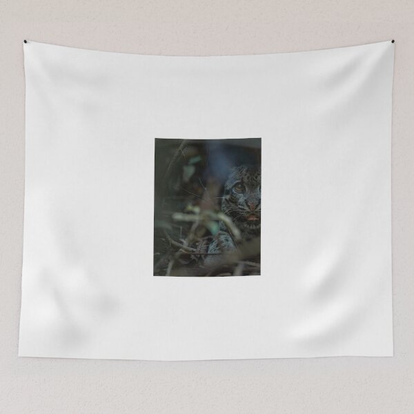 Item preview, Stealthy Clouded Leopard in Dense Forest designed and sold by wildframe-color.