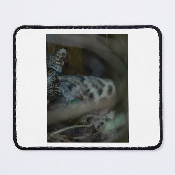 Item preview, Close-up Snow Leopard in Forest Shadows designed and sold by wildframe-color.