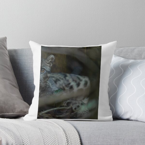 Item preview, Close-up Snow Leopard in Forest Shadows designed and sold by wildframe-color.
