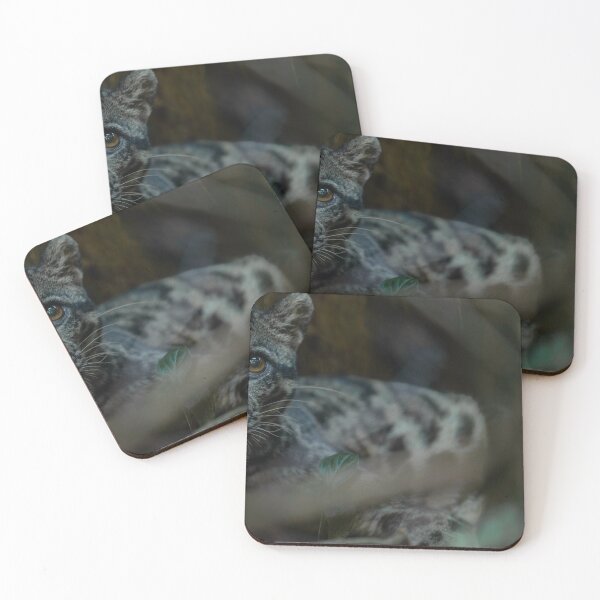 Item preview, Close-up Snow Leopard in Forest Shadows designed and sold by wildframe-color.
