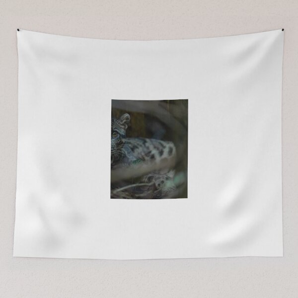 Item preview, Close-up Snow Leopard in Forest Shadows designed and sold by wildframe-color.