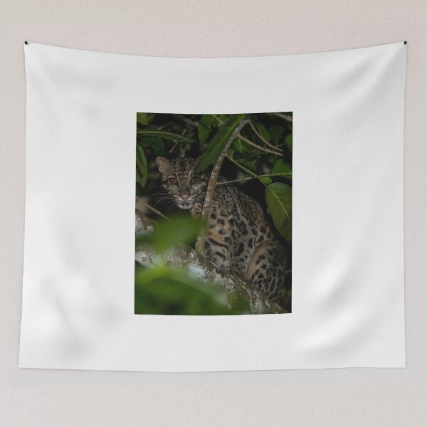 Item preview, Clouded Leopard in Forest at Night designed and sold by wildframe-color.