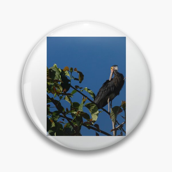 Item preview, Large Black Bird Perched on Branch designed and sold by wildframe-color.