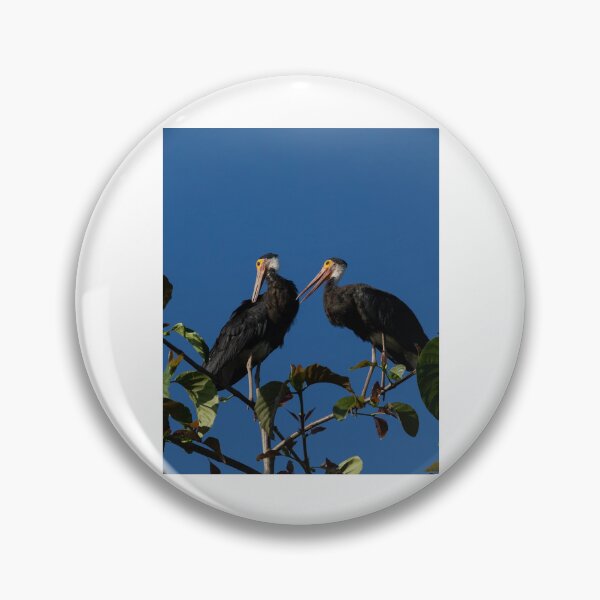 Item preview, Two Black Storks Perched on Tree Branch designed and sold by wildframe-color.