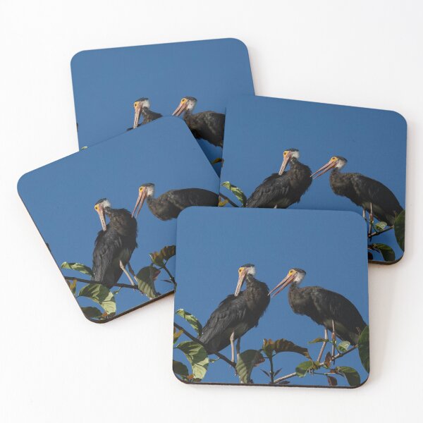Item preview, Two Black Storks Perched on Tree Branch designed and sold by wildframe-color.