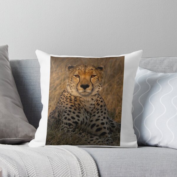 Item preview, Close-Up of a Resting Cheetah in Tall Grass designed and sold by wildframe-color.