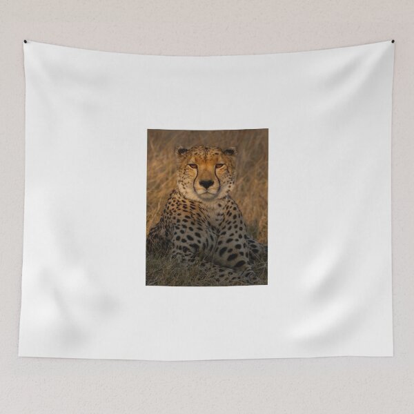 Item preview, Close-Up of a Resting Cheetah in Tall Grass designed and sold by wildframe-color.