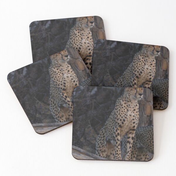Item preview, Alert Cheetah in Natural Habitat designed and sold by wildframe-color.