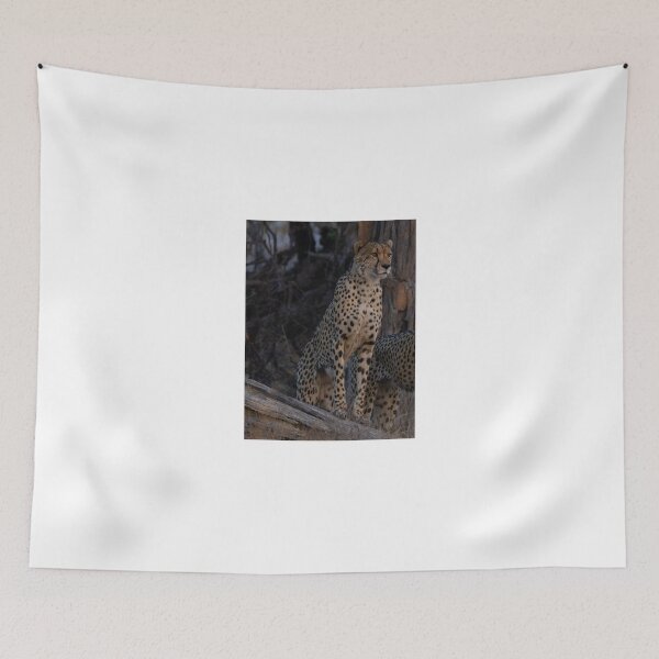 Item preview, Alert Cheetah in Natural Habitat designed and sold by wildframe-color.