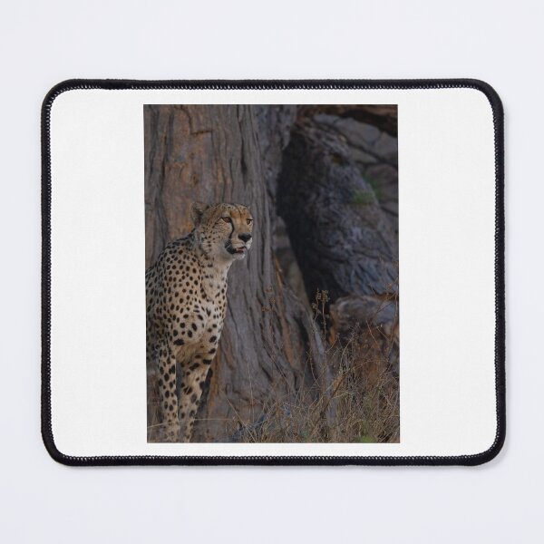 Item preview, Alert Cheetah in Natural Habitat designed and sold by wildframe-color.