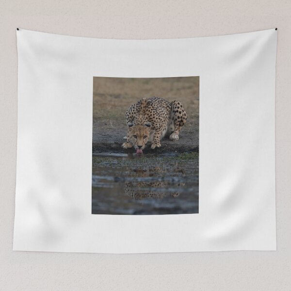 Item preview, Crouching Cheetah Drinking Water designed and sold by wildframe-color.