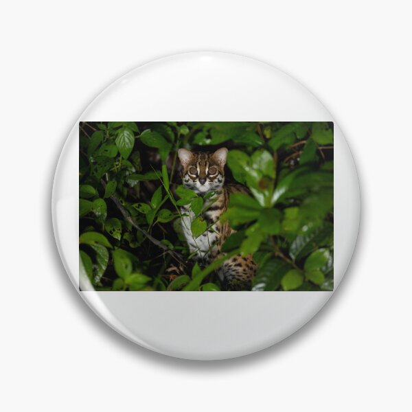Artikelvorschau, Leopardkatze im dichten grünen Laub entworfen und verkauft von wildframe-color.
