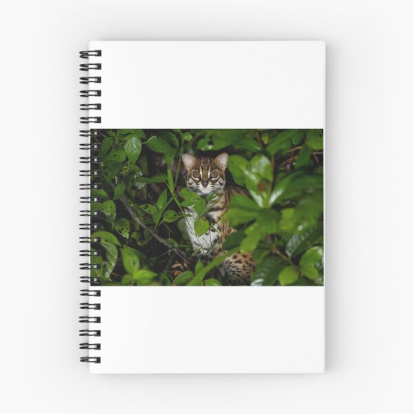 Item preview, Leopard Cat in Dense Green Foliage designed and sold by wildframe-color.