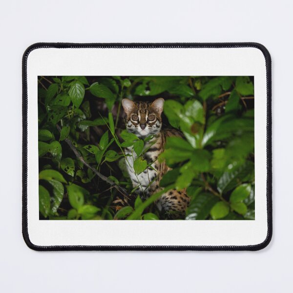 Item preview, Leopard Cat in Dense Green Foliage designed and sold by wildframe-color.