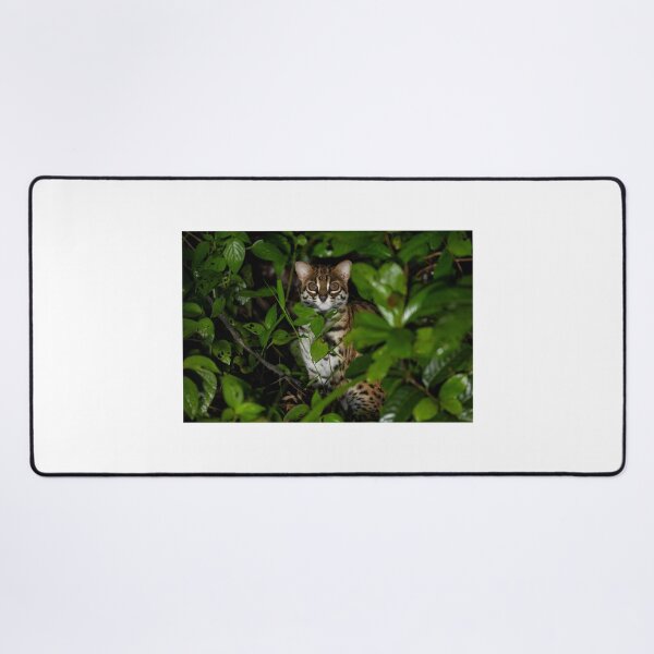 Item preview, Leopard Cat in Dense Green Foliage designed and sold by wildframe-color.