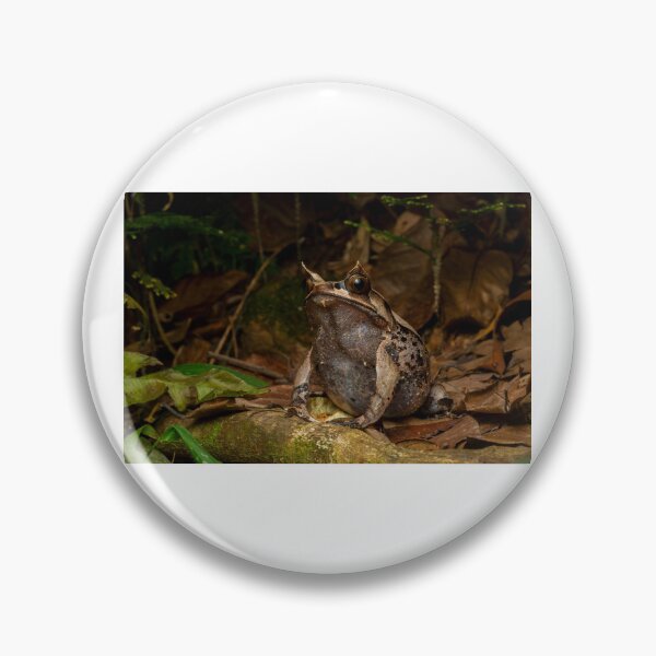 Item preview, Unique Horned Frog on Forest Floor designed and sold by wildframe-color.