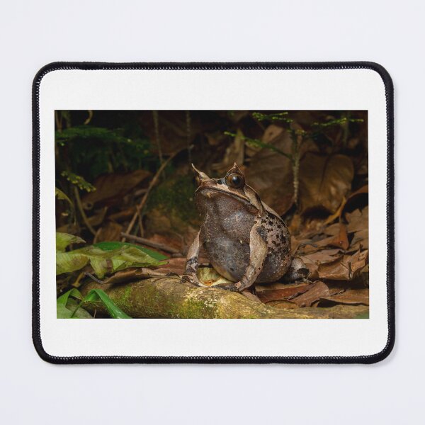 Item preview, Unique Horned Frog on Forest Floor designed and sold by wildframe-color.