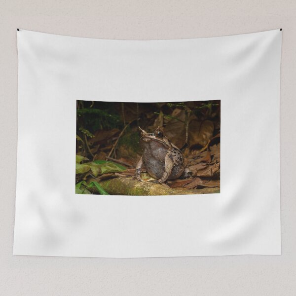 Item preview, Unique Horned Frog on Forest Floor designed and sold by wildframe-color.