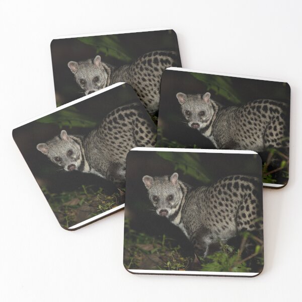 Item preview, Spotted Civet in Night Jungle designed and sold by wildframe-color.