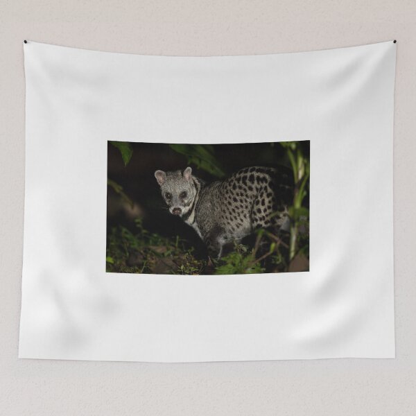 Item preview, Spotted Civet in Night Jungle designed and sold by wildframe-color.