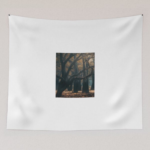 Item preview, Misty Forest with Ancient Trees designed and sold by wildframe-color.