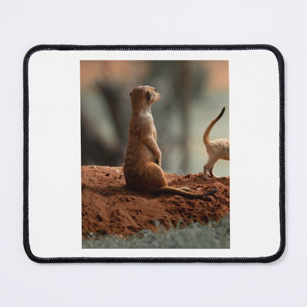 Item preview, Alert Meerkat on Red Earth designed and sold by wildframe-color.