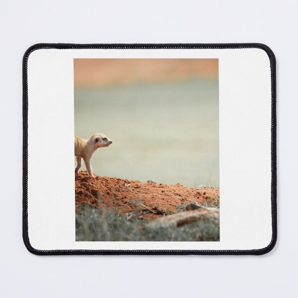 Item preview, Curious Meerkat on Red Earth designed and sold by wildframe-color.