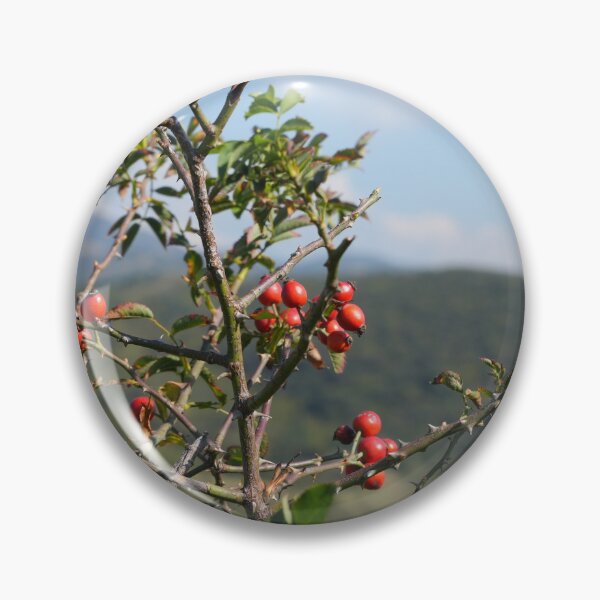 Item preview, Rose Hips on a Branch Against Blue Sky designed and sold by tozhehochu.