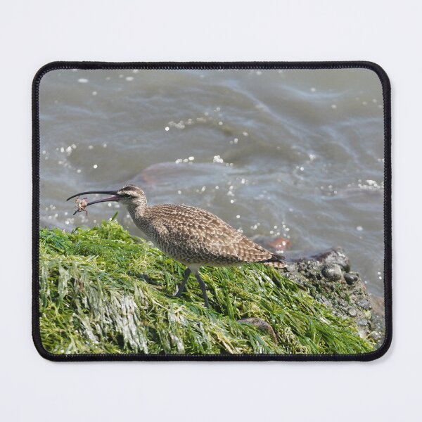 Item preview, Whimbrel designed and sold by Malcolm Snook.