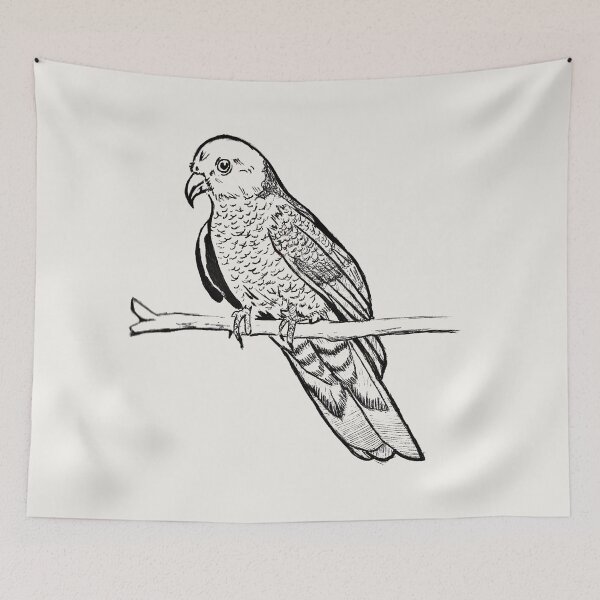 Item preview, Wild Parrot | Vintage Bird Illustration | Parrot Illustration designed and sold by Half Mess.