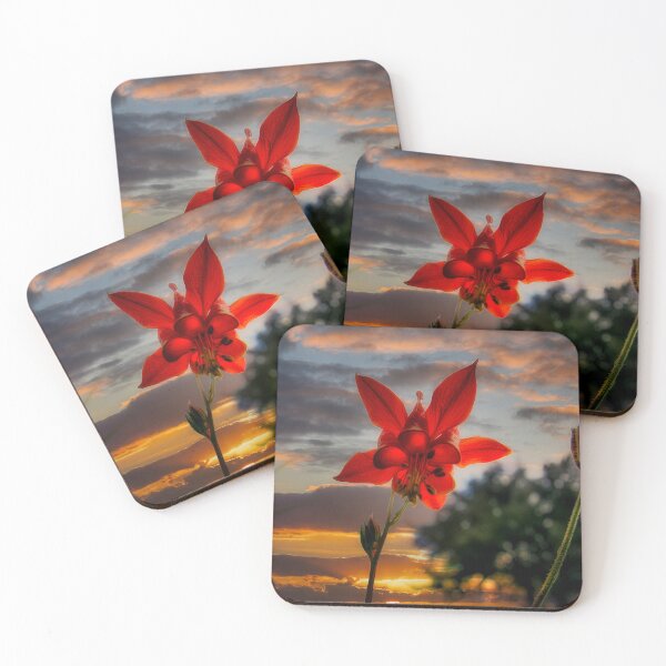 Item preview, Until Tomorrow designed and sold by Steve Walser.