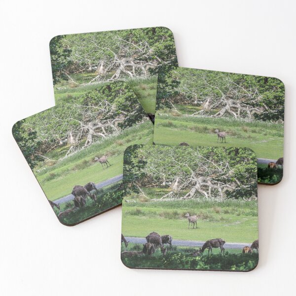 Item preview, Tatton Park - Cheshire designed and sold by Raymond Kerr.