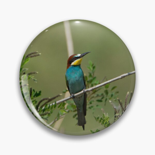 Item preview, European Bee-eater – Colorful Wildlife Photography designed and sold by Davidewildphoto.