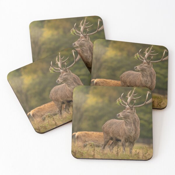 Item preview, The Call of the Rut – Autumn at Tatton Park designed and sold by Darren Wilkes Wildlife UK.