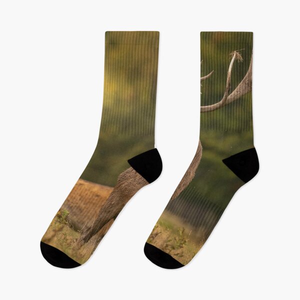 Item preview, The Call of the Rut – Autumn at Tatton Park designed and sold by Darren Wilkes Wildlife UK.