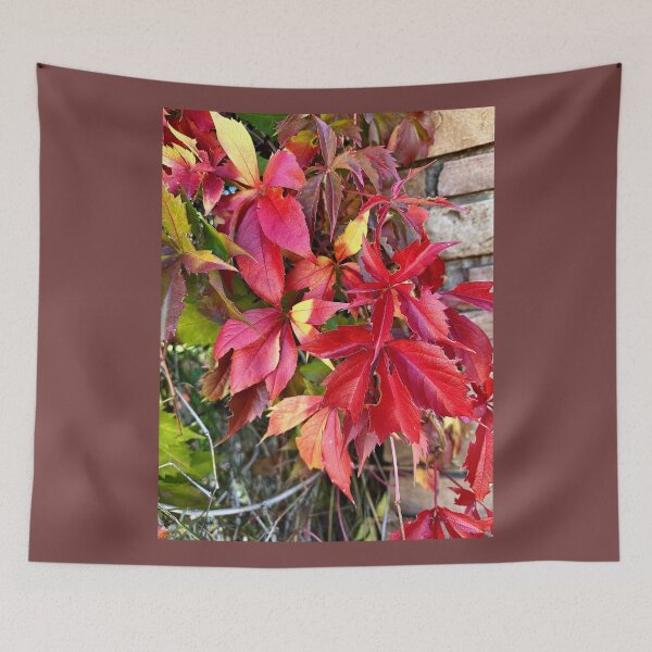 Item preview, Changing Autumn Red Leaves on Stone by ElitebyElise designed and sold by ElitebyElise.