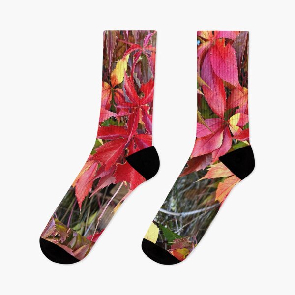 Aperçu de l'œuvre Feuilles rouges d'automne changeantes sur pierre par ElitebyElise créée et vendue par ElitebyElise.