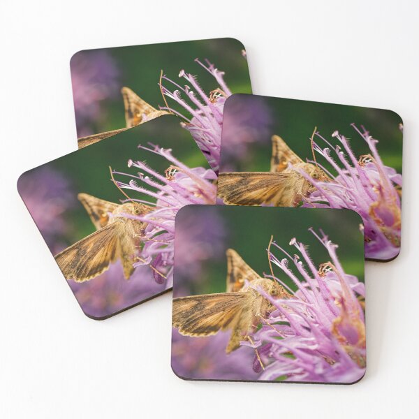 Item preview, Golden Moth Feeding on a Purple Wildflower, Macro designed and sold by Rabee Khalil Photography.